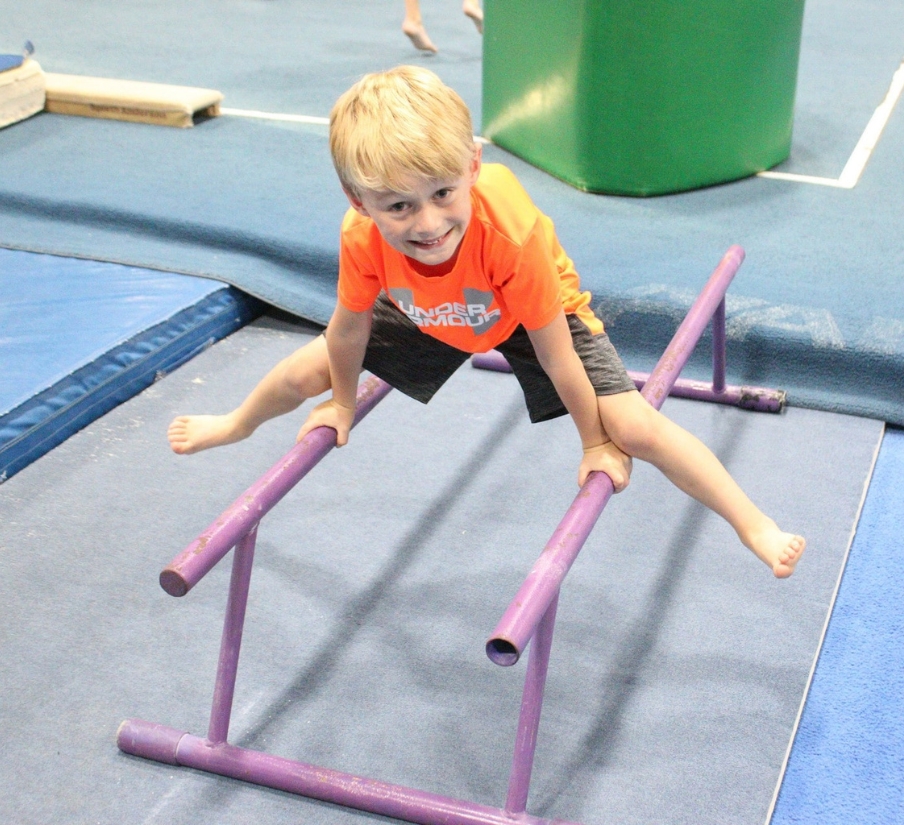 Beginner Ninja
