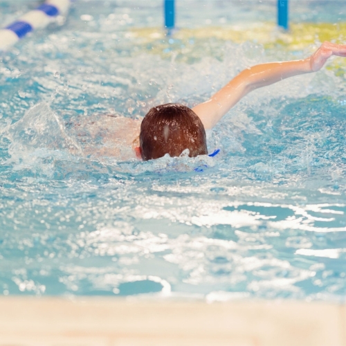 Swim Meets